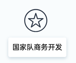 国家队商务开发